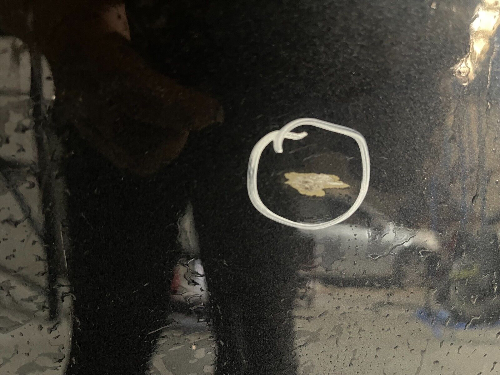 Volkswagen Golf MK7 Rear Right Door In Blue *Freight Available*